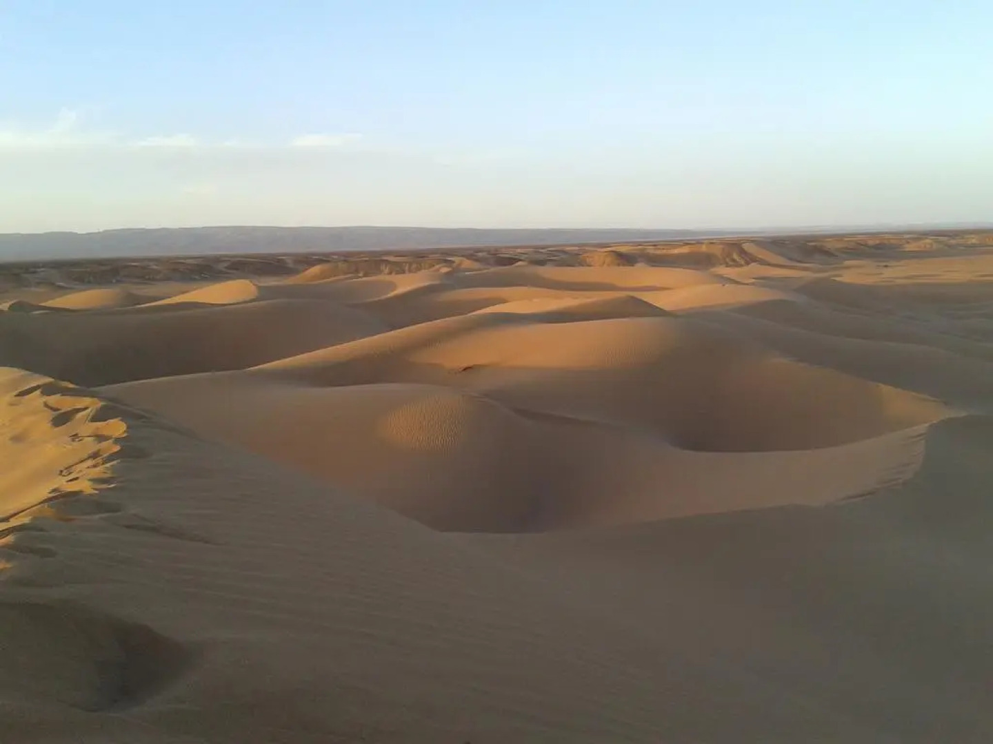 Bivouac Desert Sahara