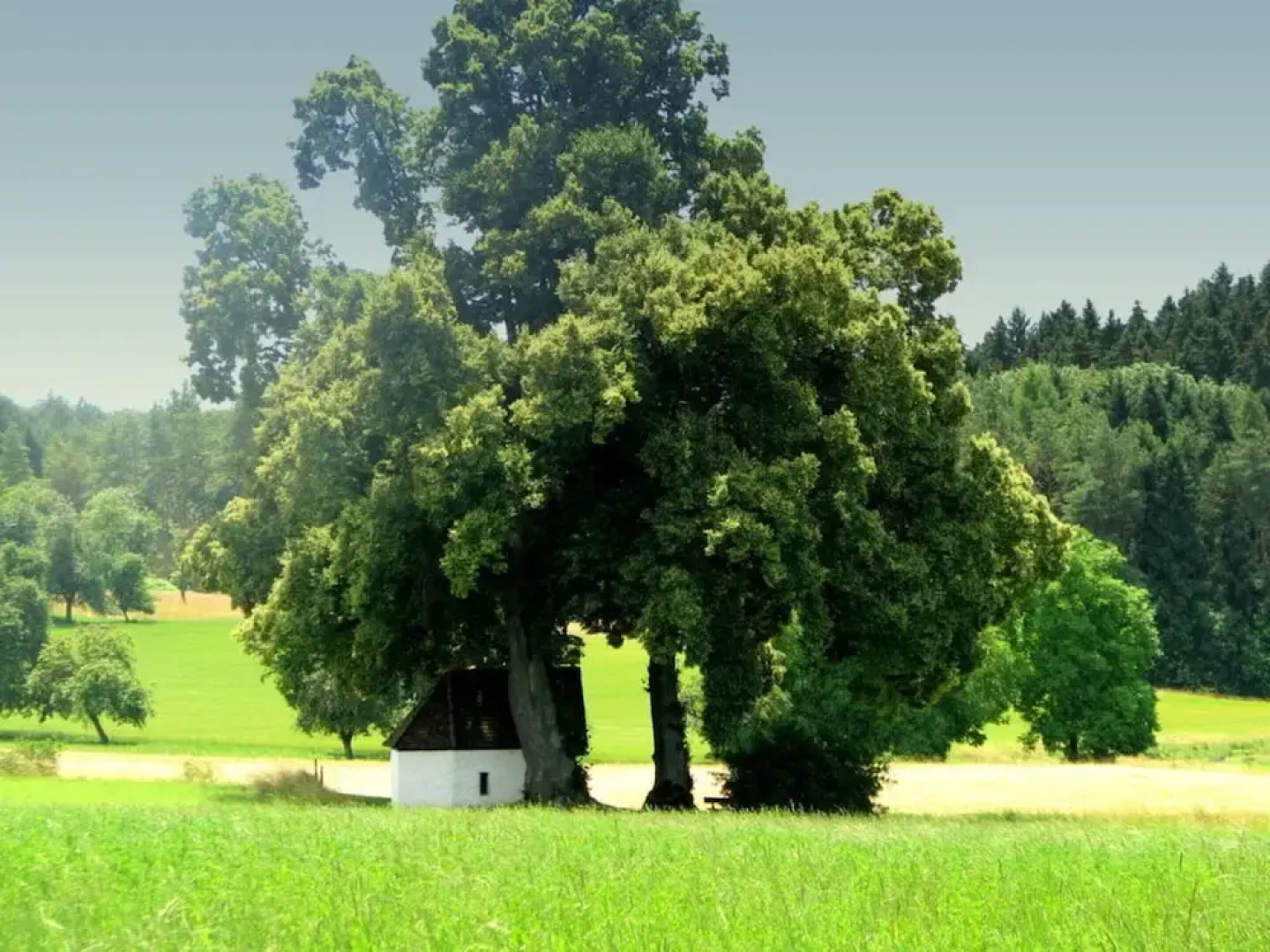 Holiday Apartment Chapel