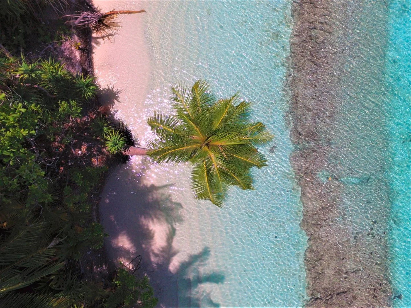 Отель Dhiguveli Maldives