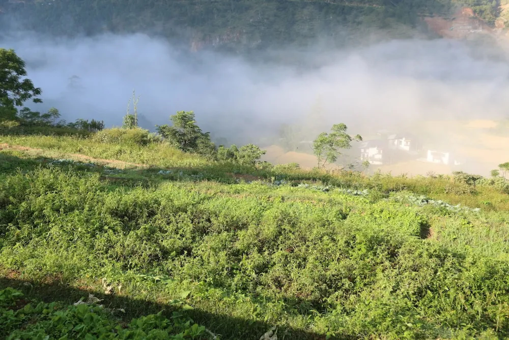 Wangdue EcoLodge