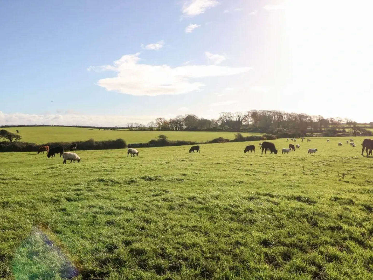 Pen Yr Orsedd Cottage