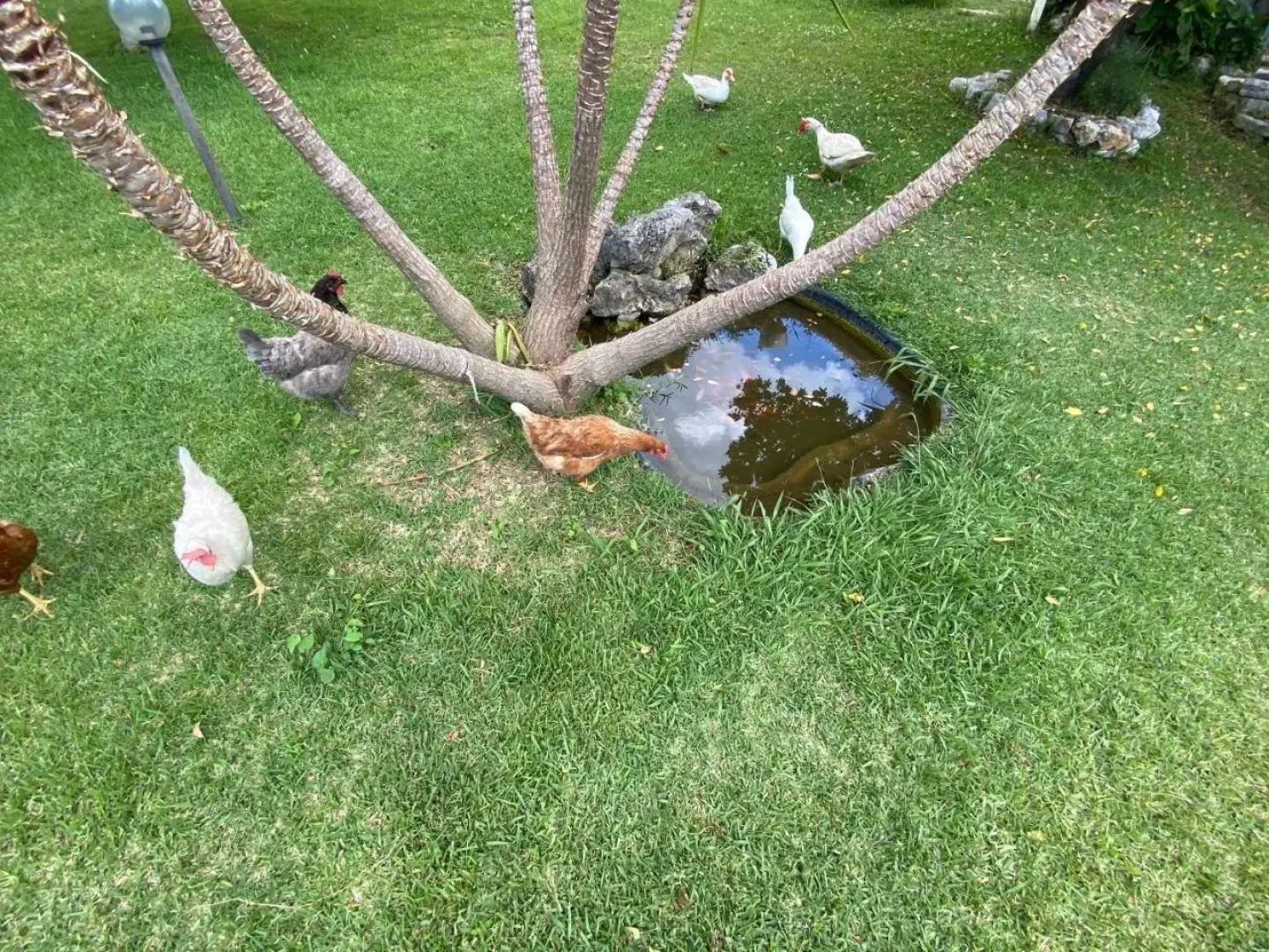 A Casa di nonna Emilia