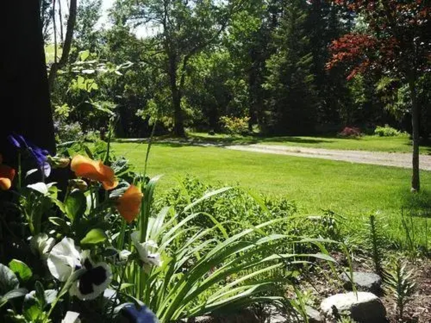 Wedgwood Manor and Glamping Retreat