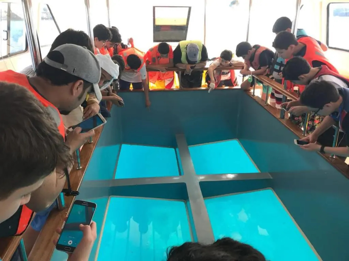 Dolphin Beach Resort