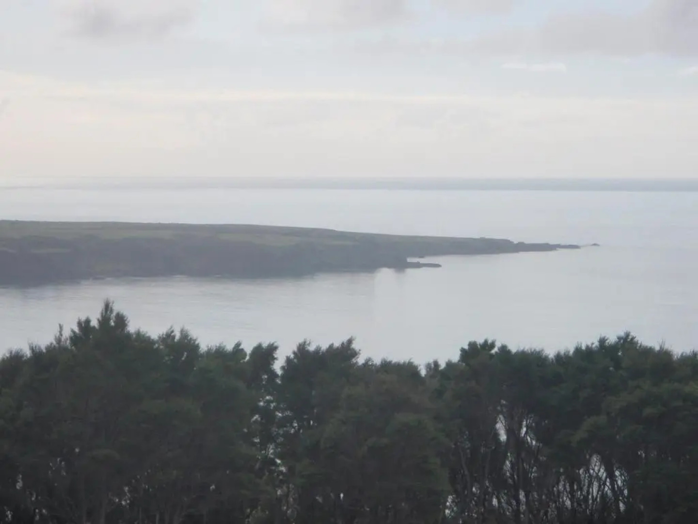 Nga Puriri Bed and Breakfast