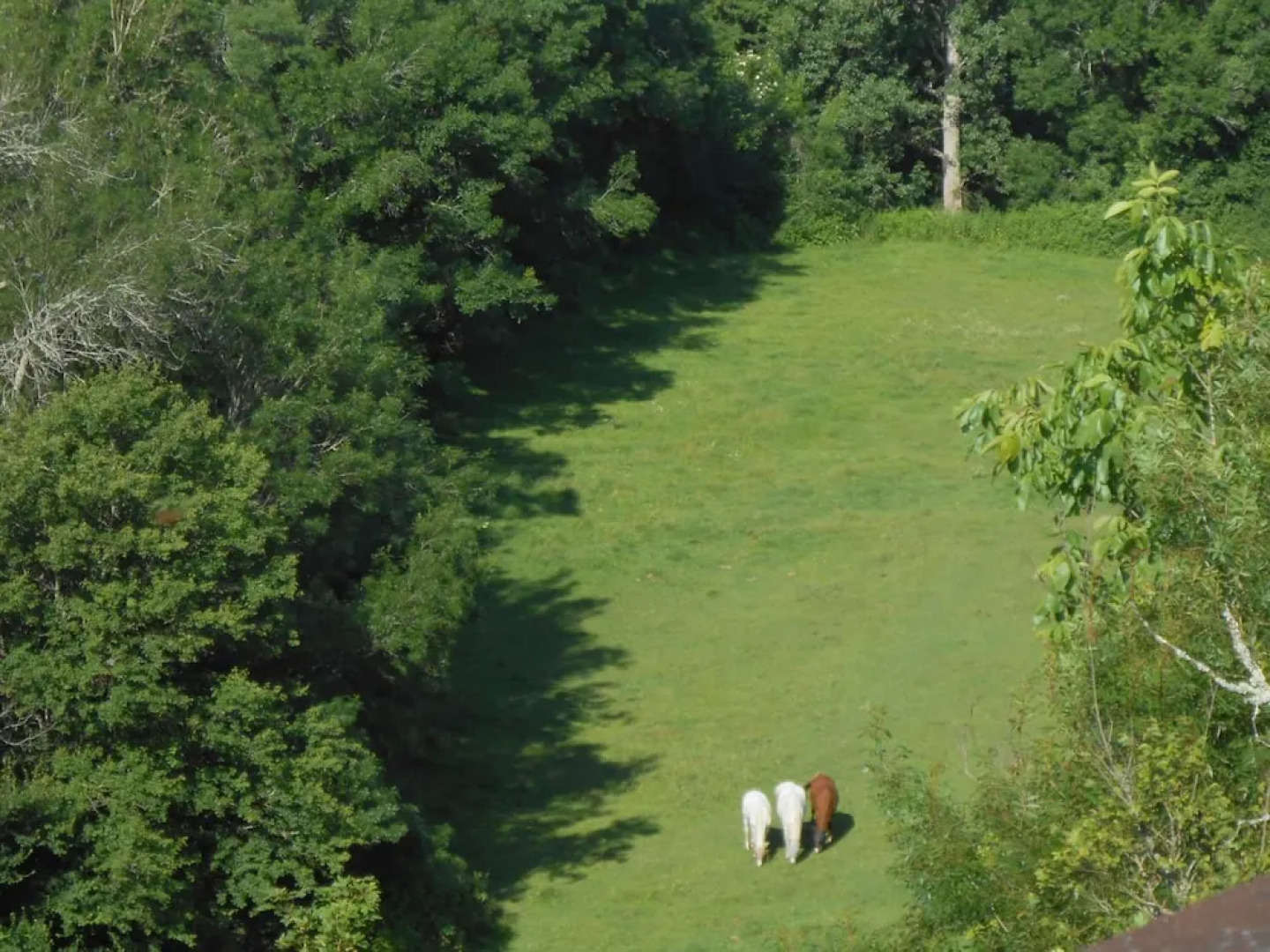 Chambre d'Hôtes Cugnac