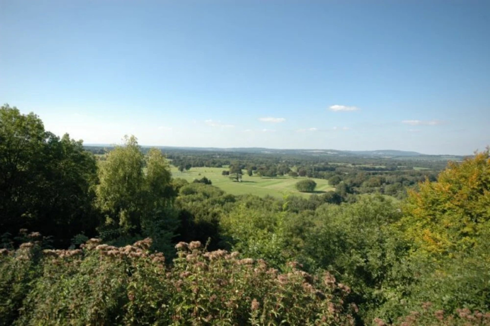 The Woodland Cottage