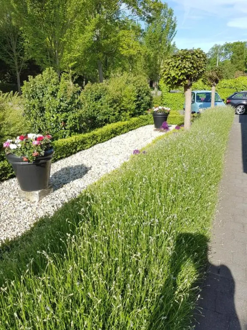 De Stoof, complete studio voor 2 personen