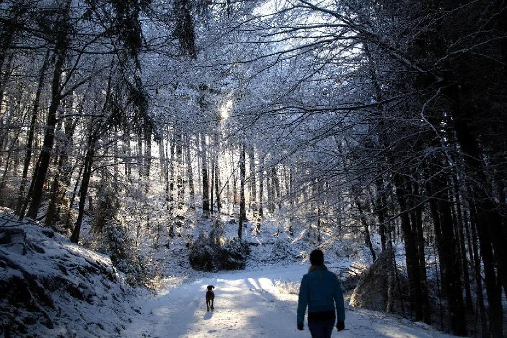 Waldhotel Schinkenwirt