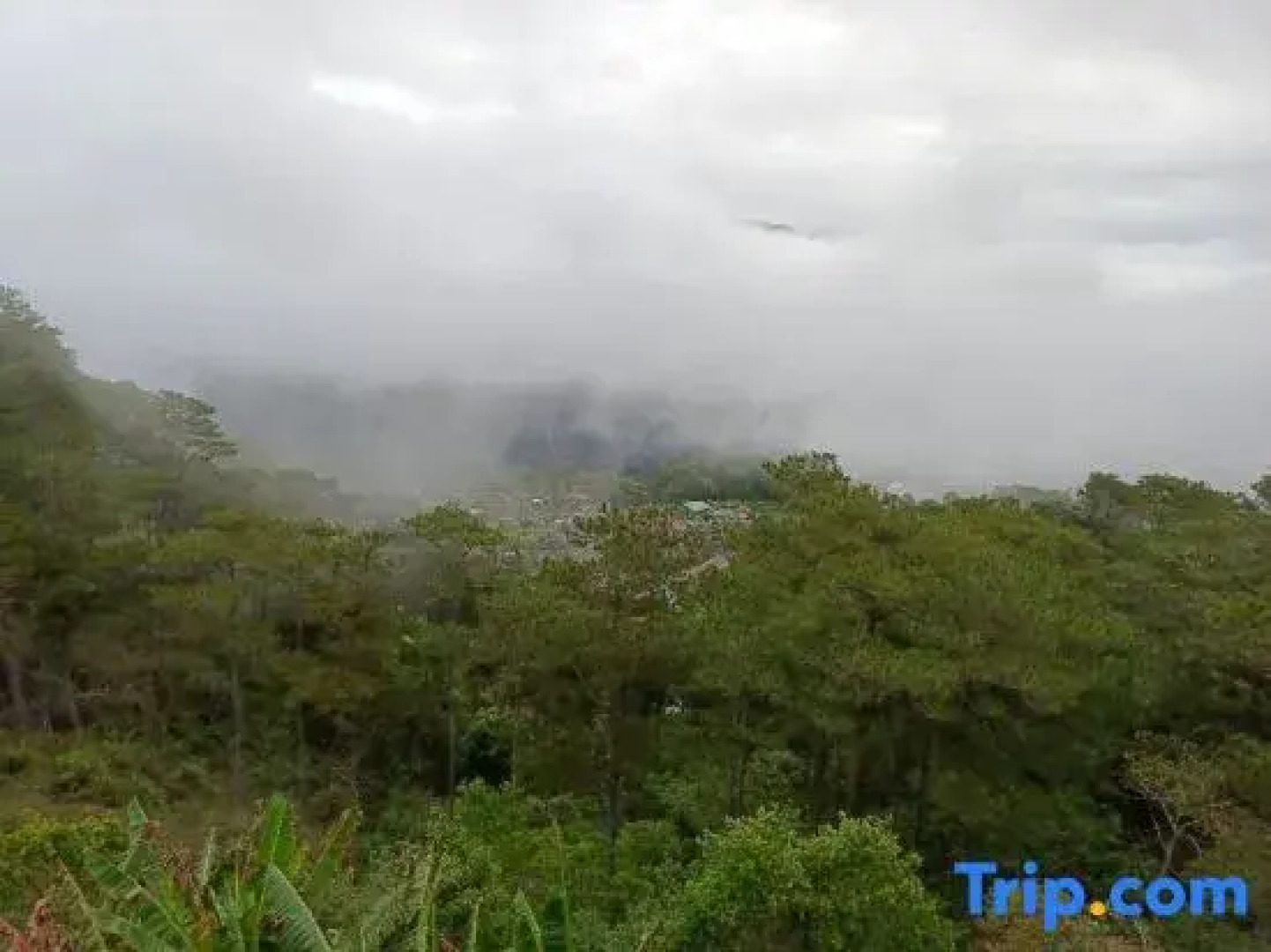 RedDoorz @ Bilza Lodge Sagada