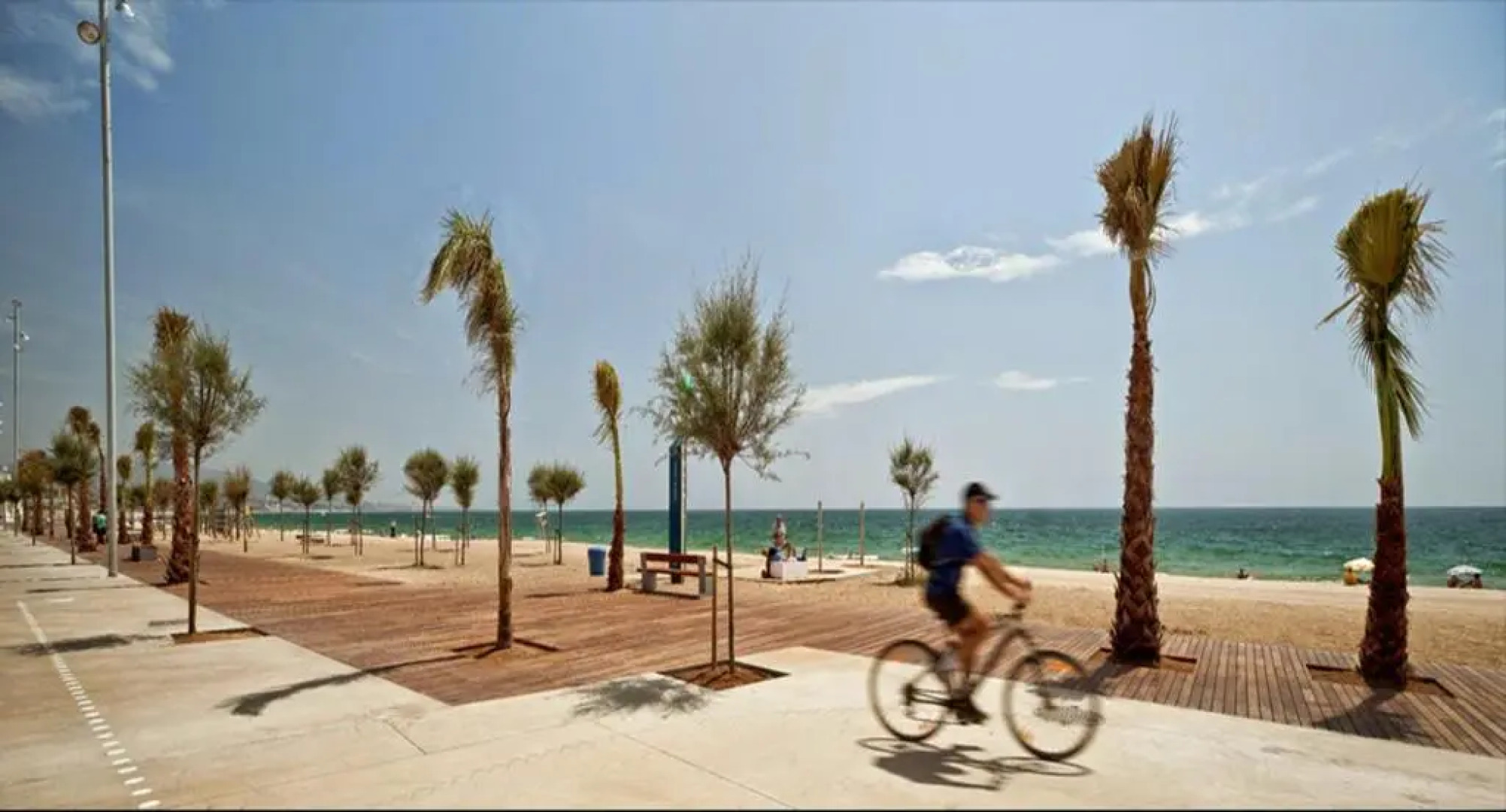 Apartamentos Dinasty