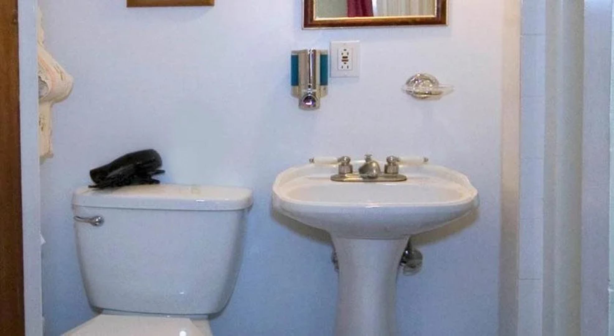 Une Fleur au Bord de l'Eau