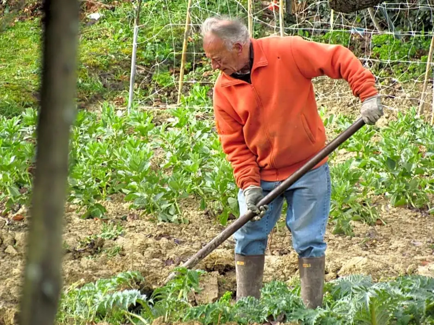 Villa della Contessa