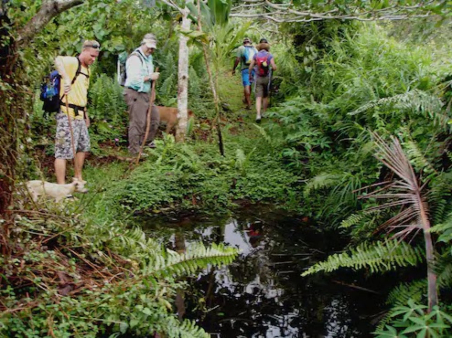 Taveuni Island Resort and Spa