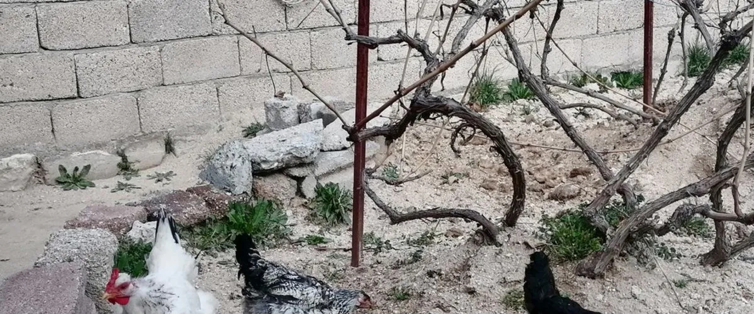 Kapadokya Hatice Ana Tatil Evi