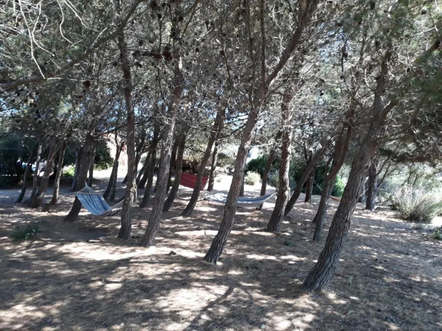 La Macciona