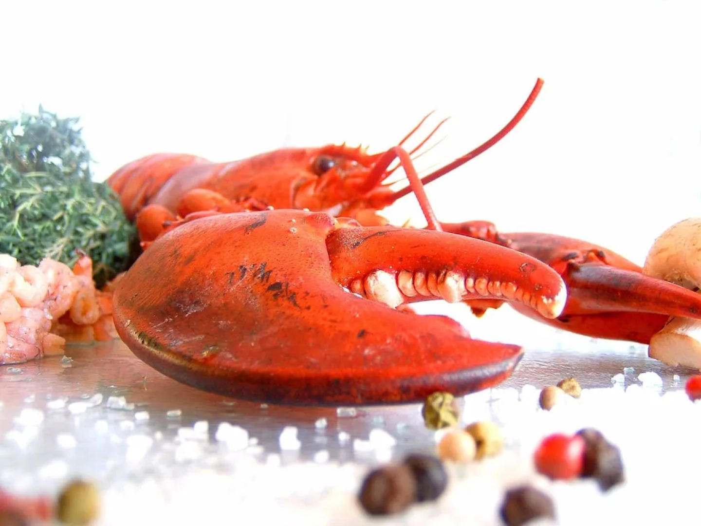 Modern Holiday Home in Porto do Son Galicia Close to Beach