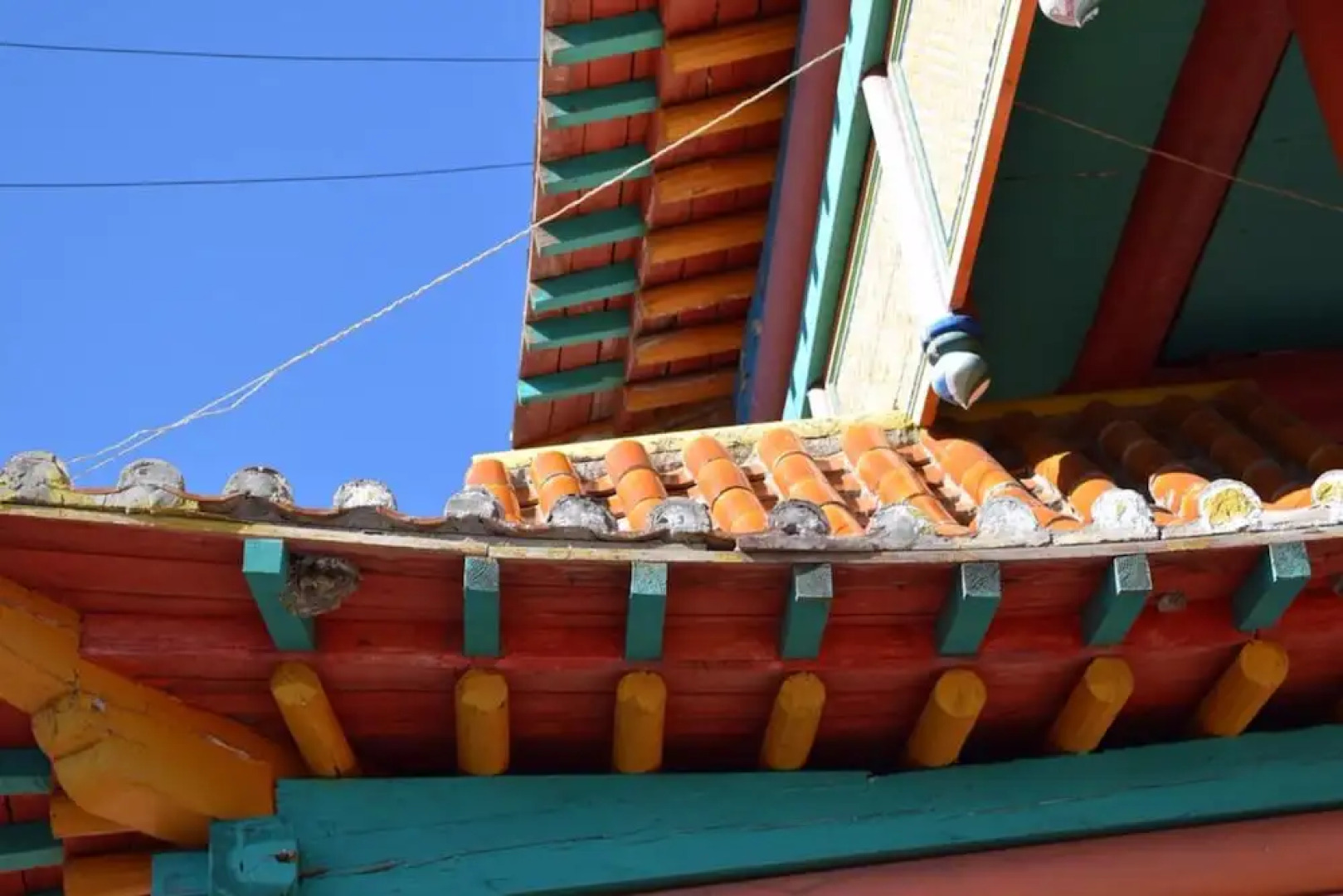 Blue Marmot Hostel&Tours