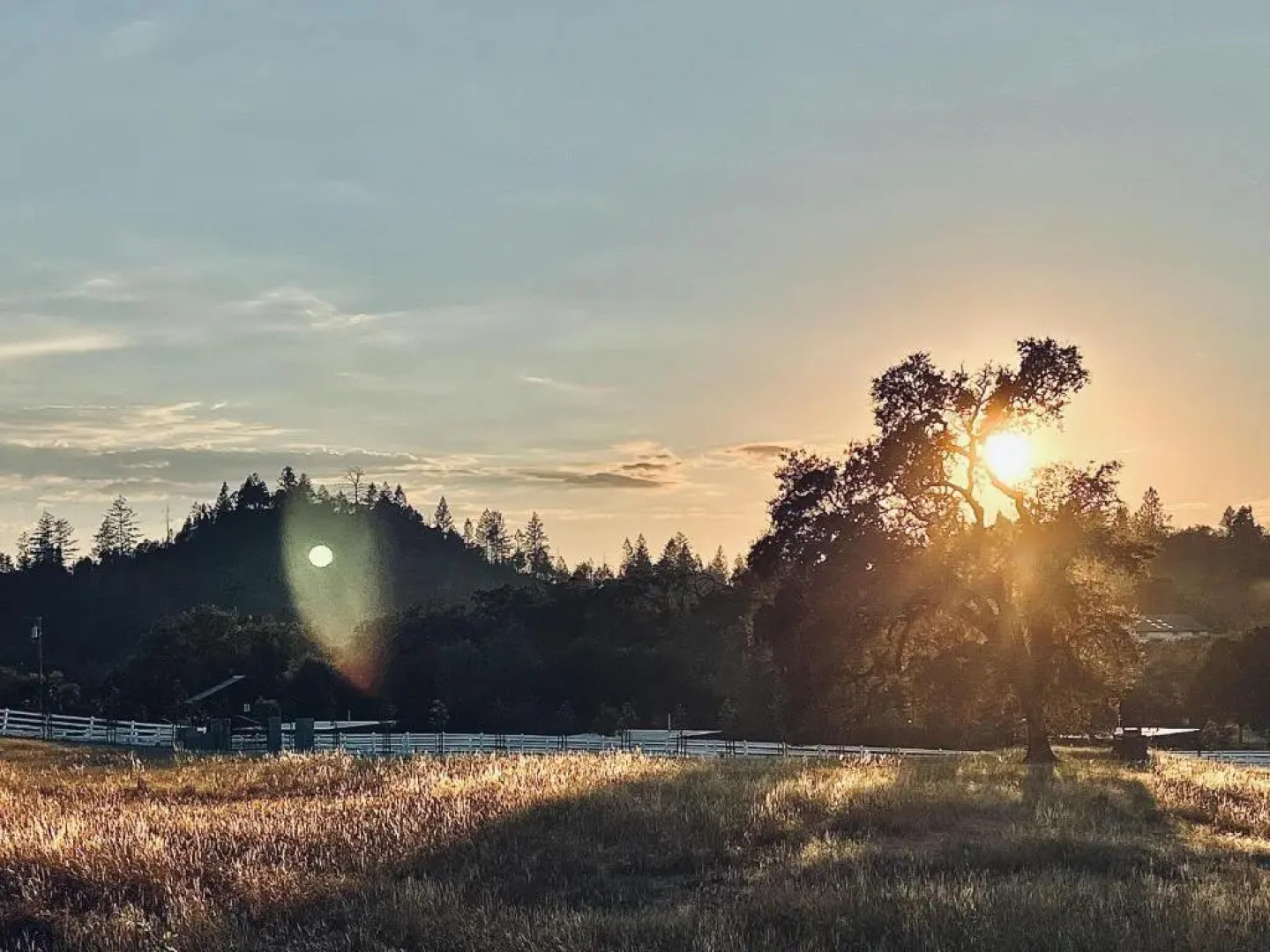 The Calistoga Cottage