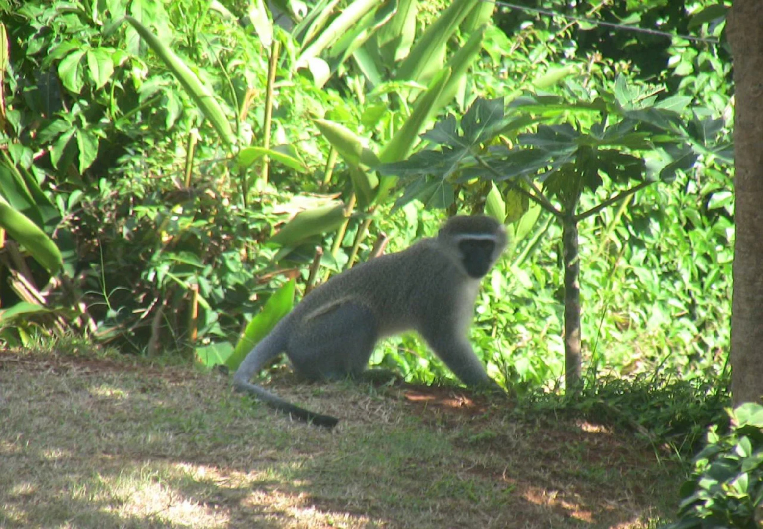 Durban Accommodation