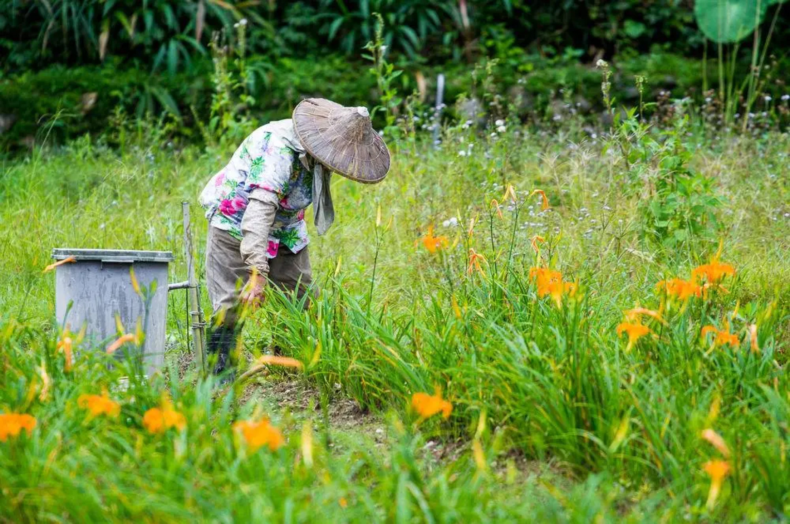 CRYSTAL RESORT - Continental Club