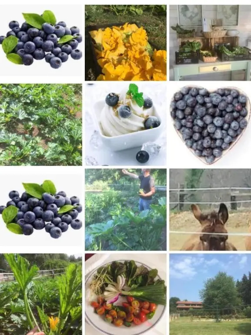 Appartamentino in AZ.AGRICOLA - MALPENSA- LAGO MAGGIORE-