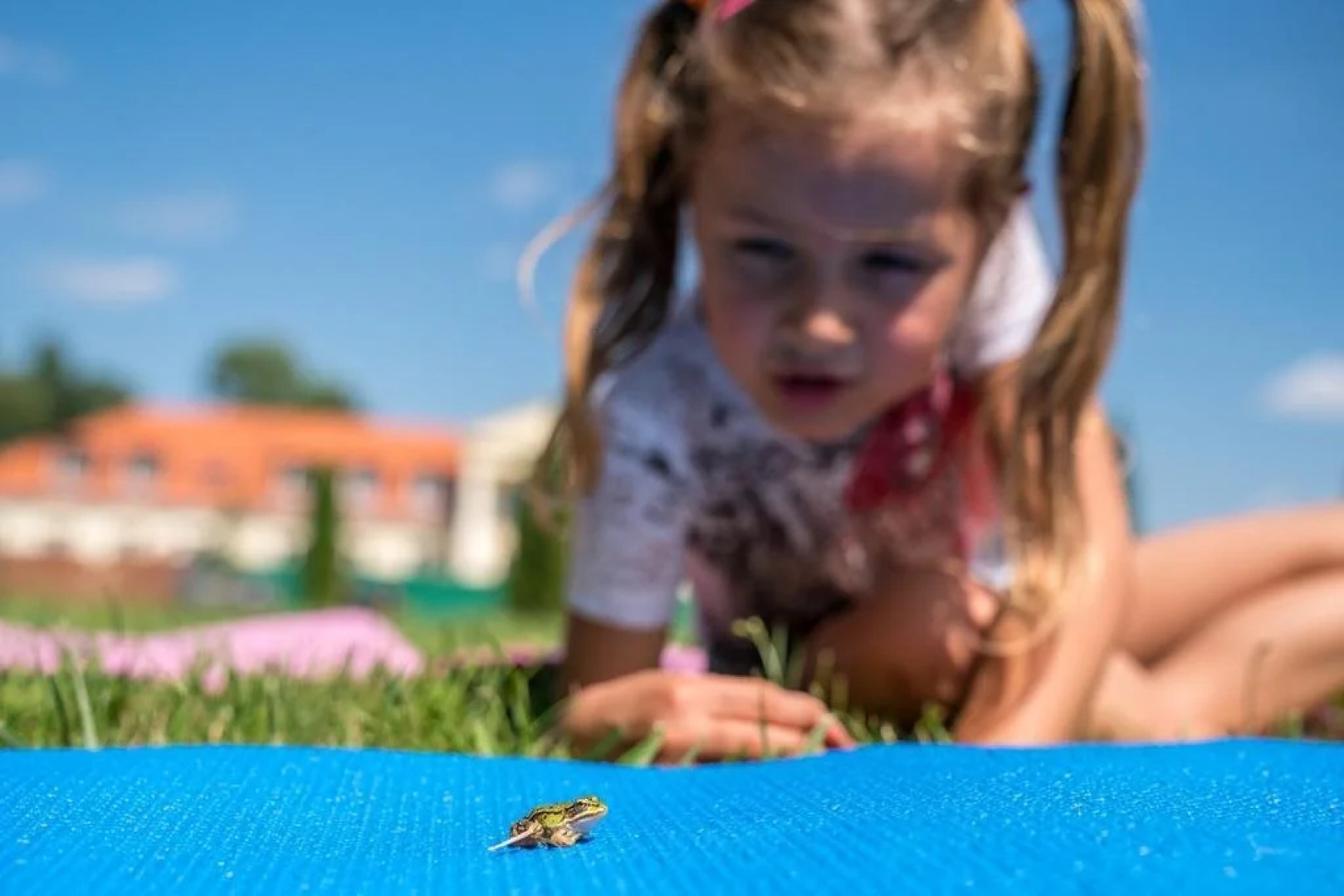 Hotel Pałac Alexandrinum