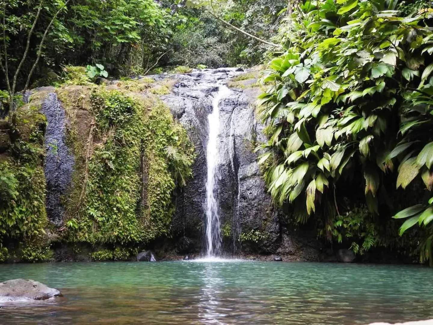 House With one Bedroom in Sainte-rose, With Furnished Garden and Wifi - 10 km From the Beach