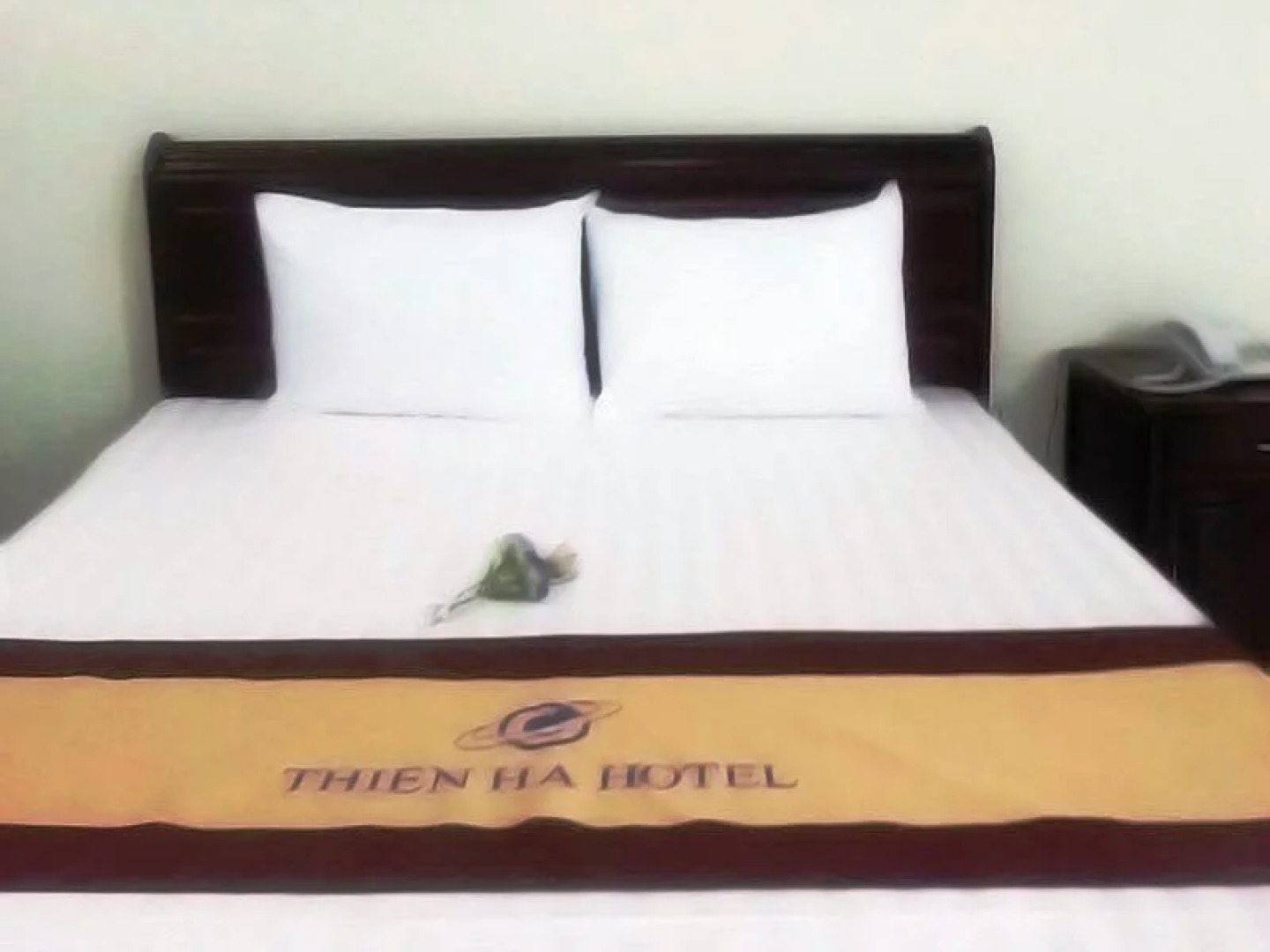 Thien Ha Hotel