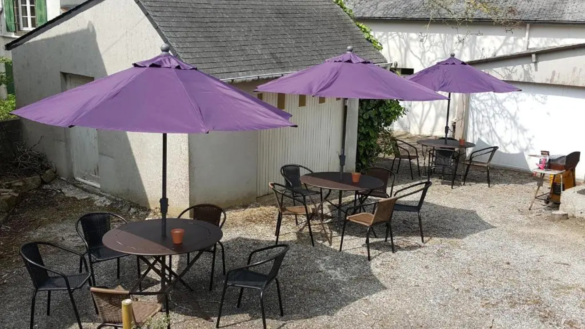 Sur La Route Des Myrtilles