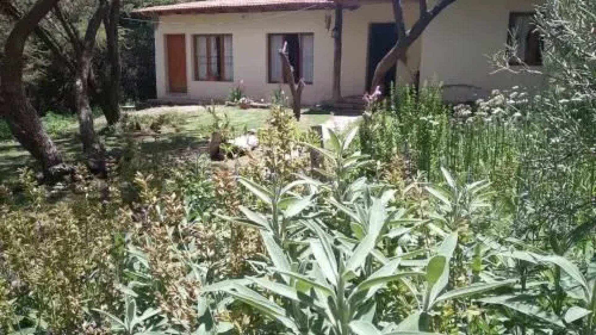 La Haciendita Hostel