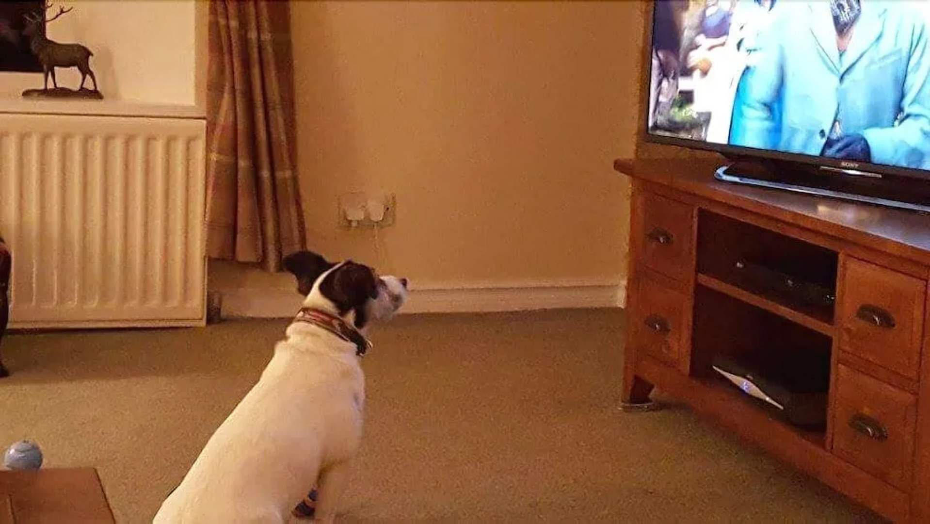 Beech Lane Farmhouse