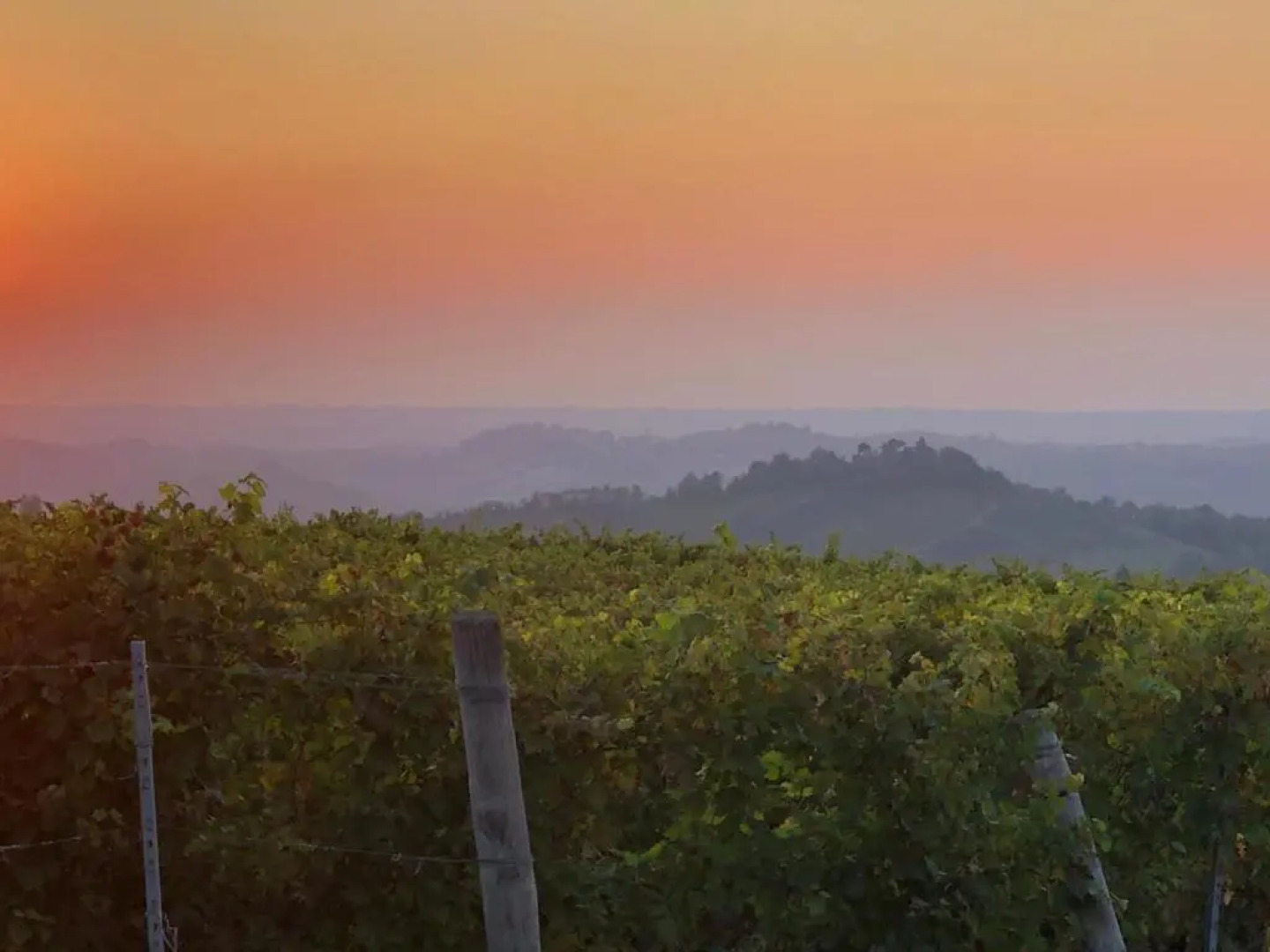 Chateau des Poccards