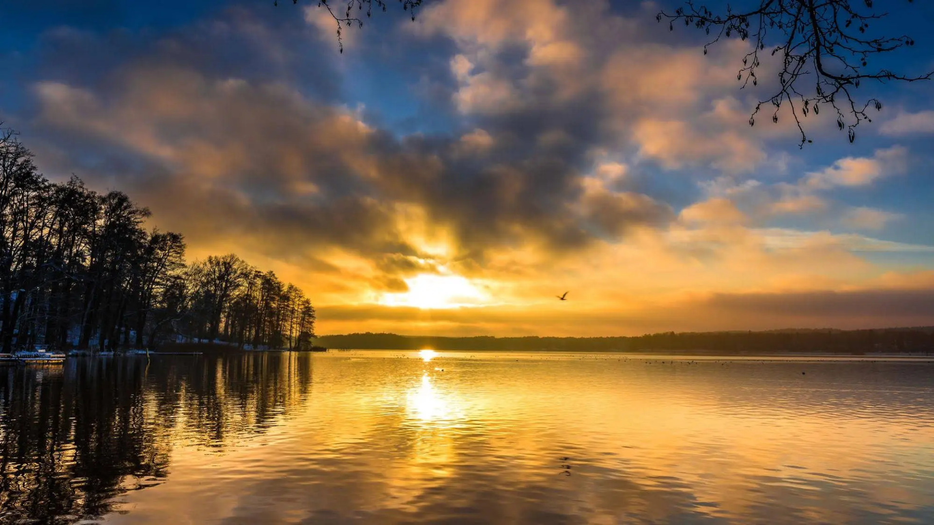 Schlosspark Bad Saarow