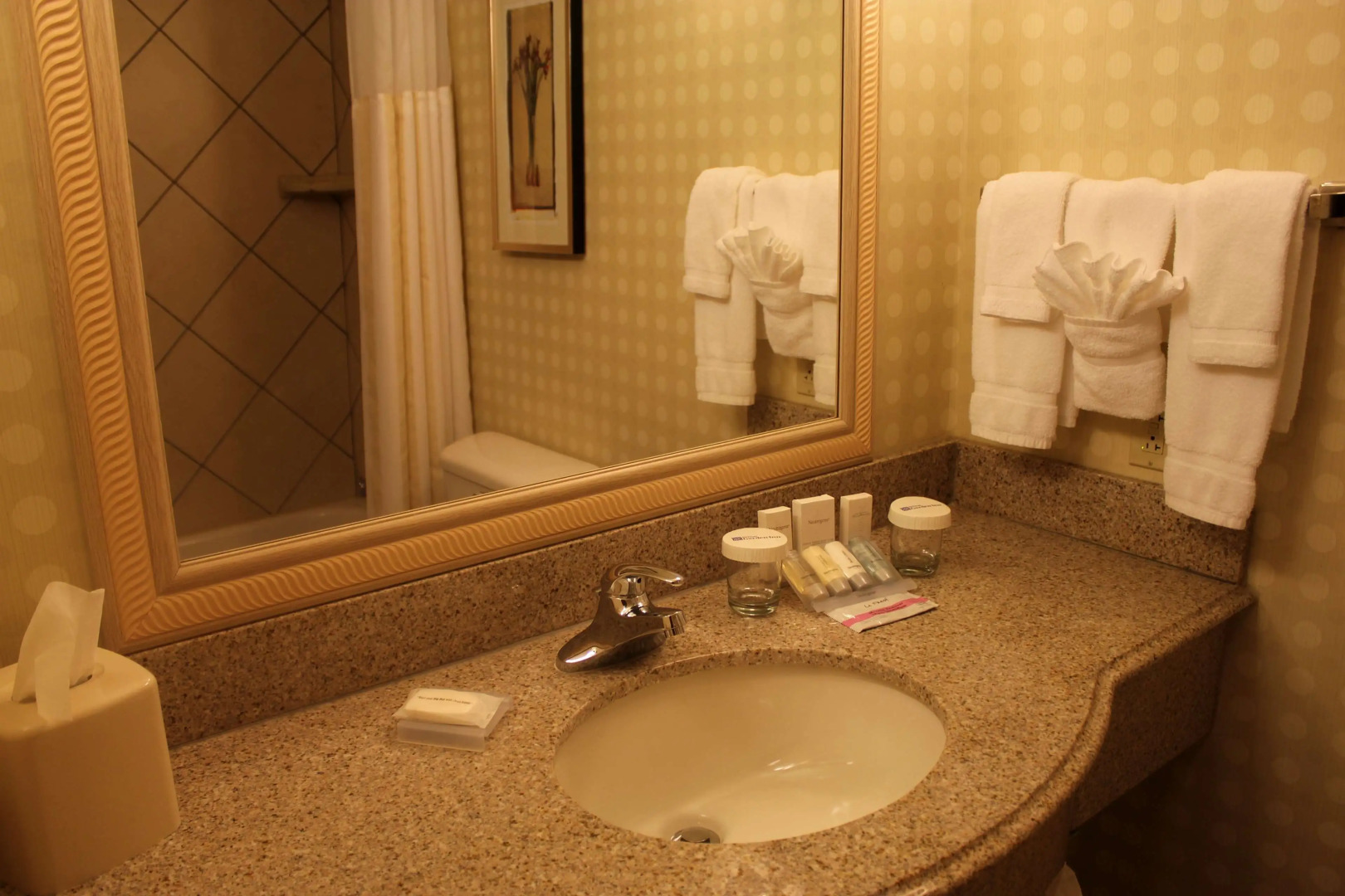 Hilton Garden Inn Starkville