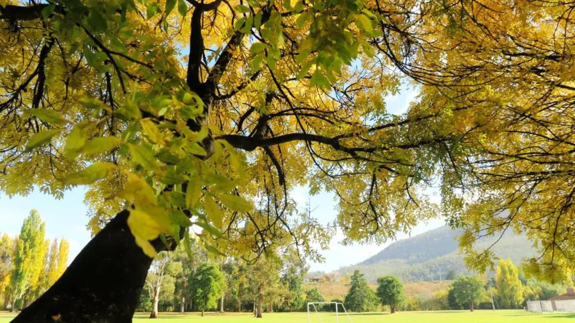 Junction Motel New Norfolk