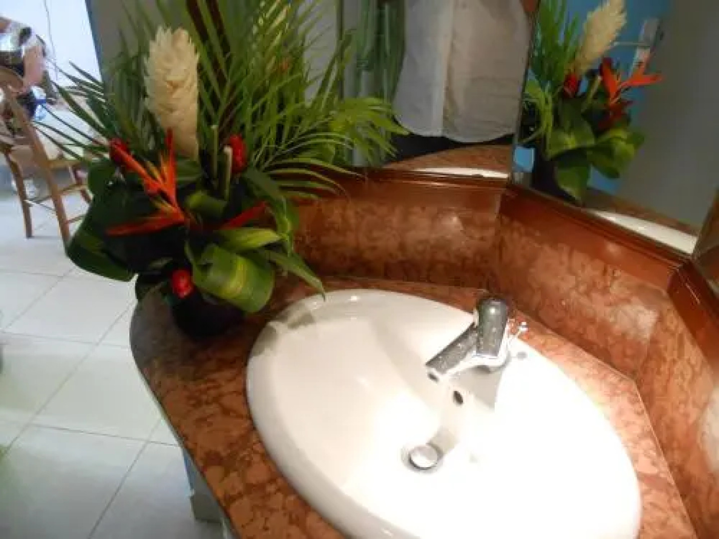 Entre Mer et Verdure