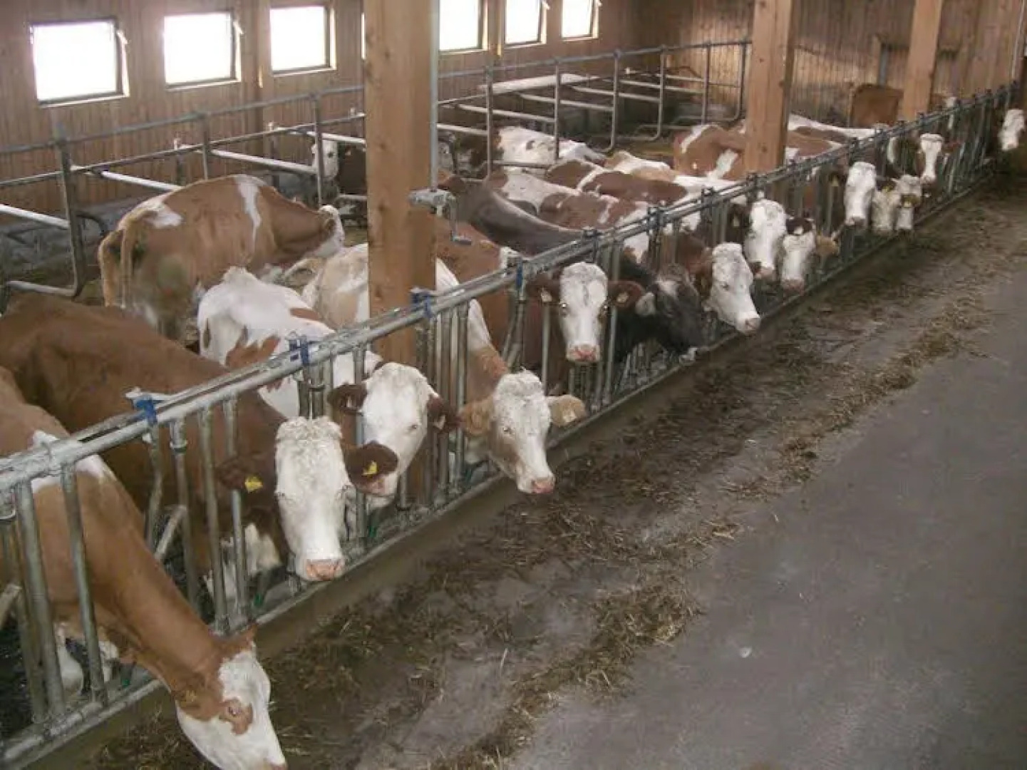 Apart Bauernhof Rosenhof