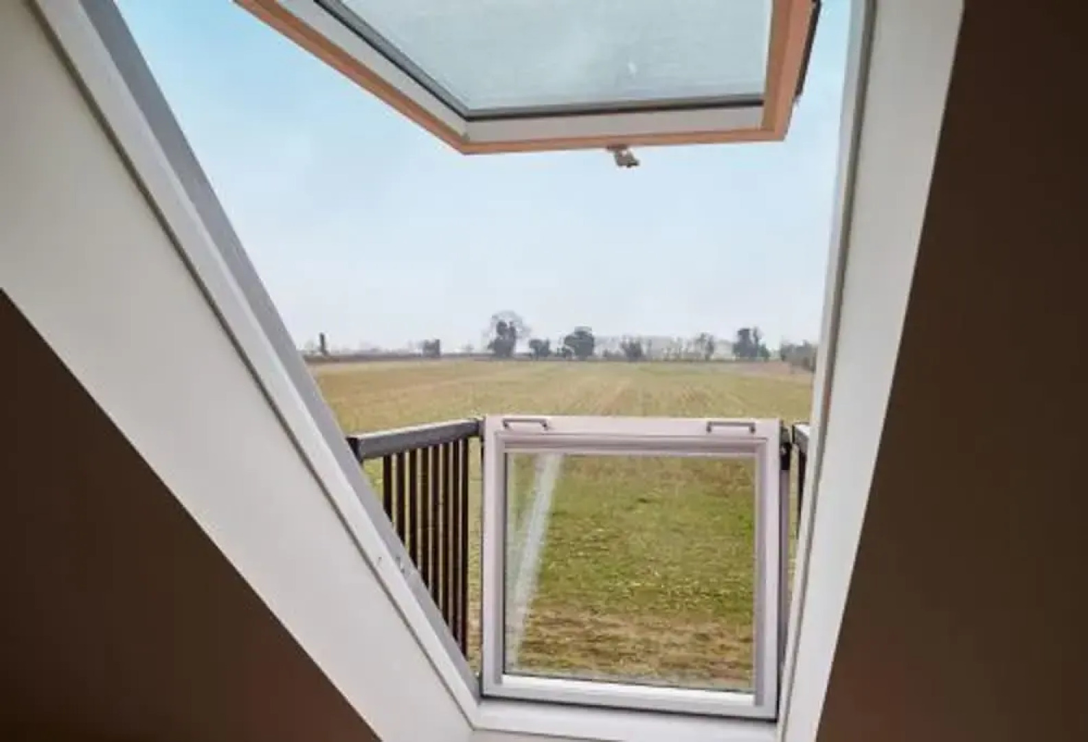 Host Stay Number One Piglets