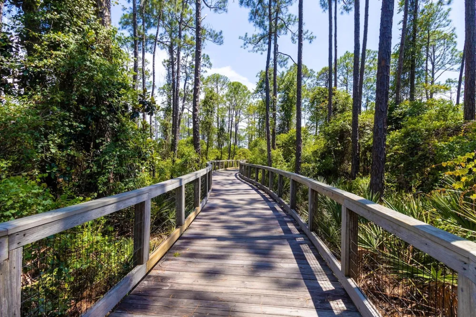 Prominence North #299b - A New Sunrise