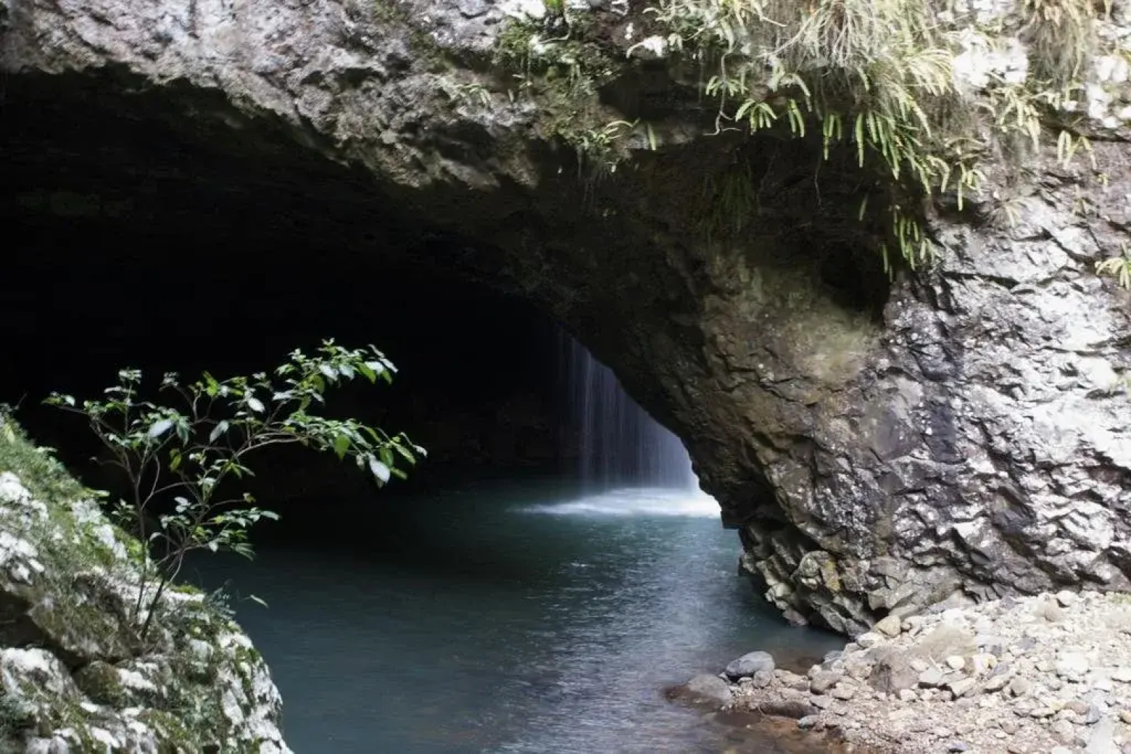 The Sanctuary at Springbrook