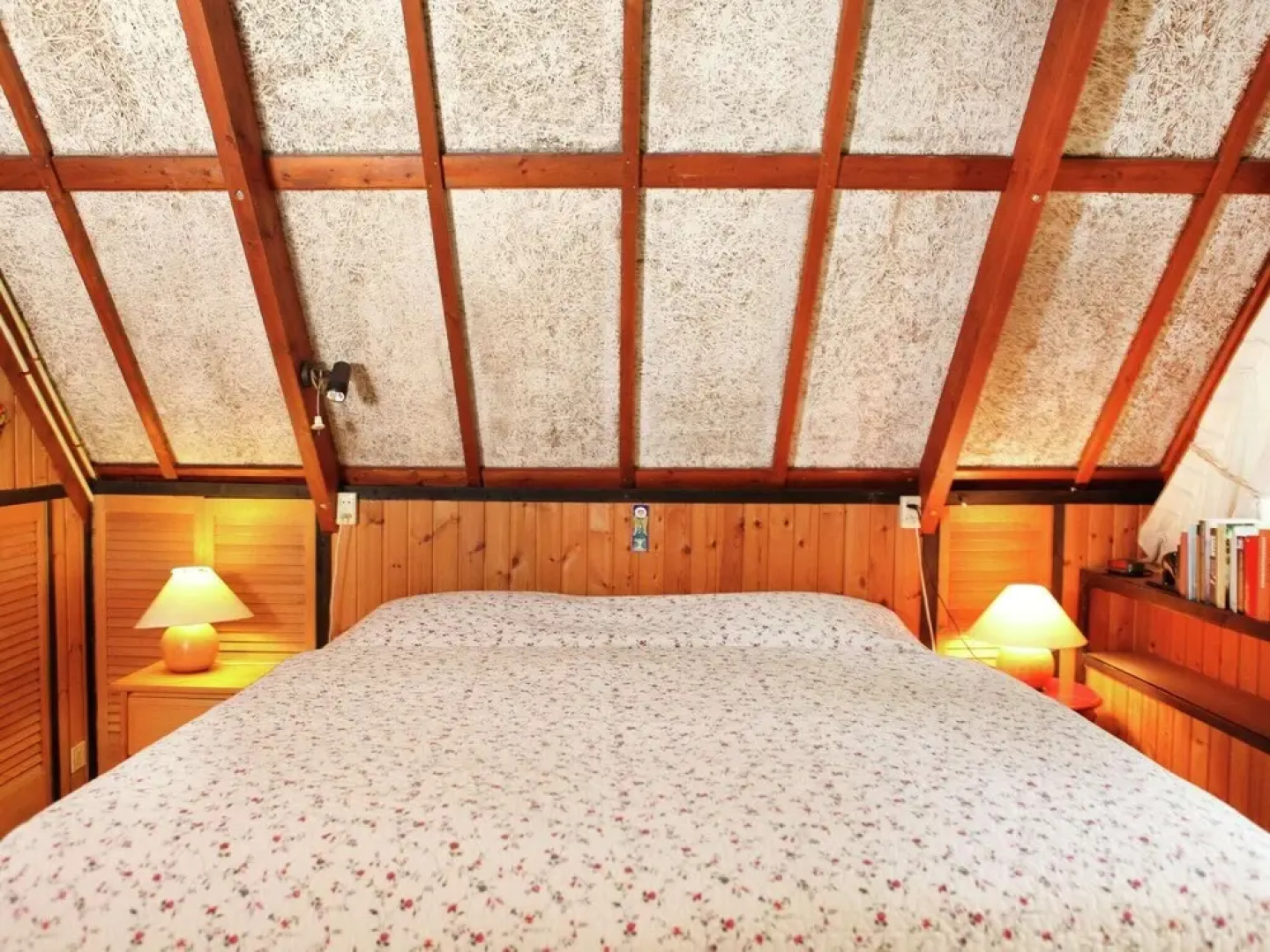 Spacious Holiday Home in Eersel With Open Fire