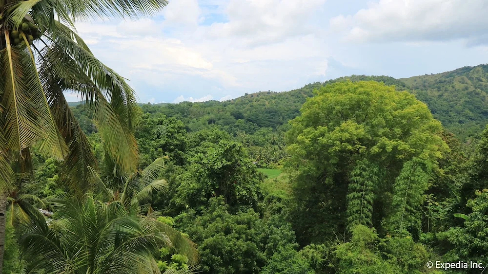 Townview Guest House