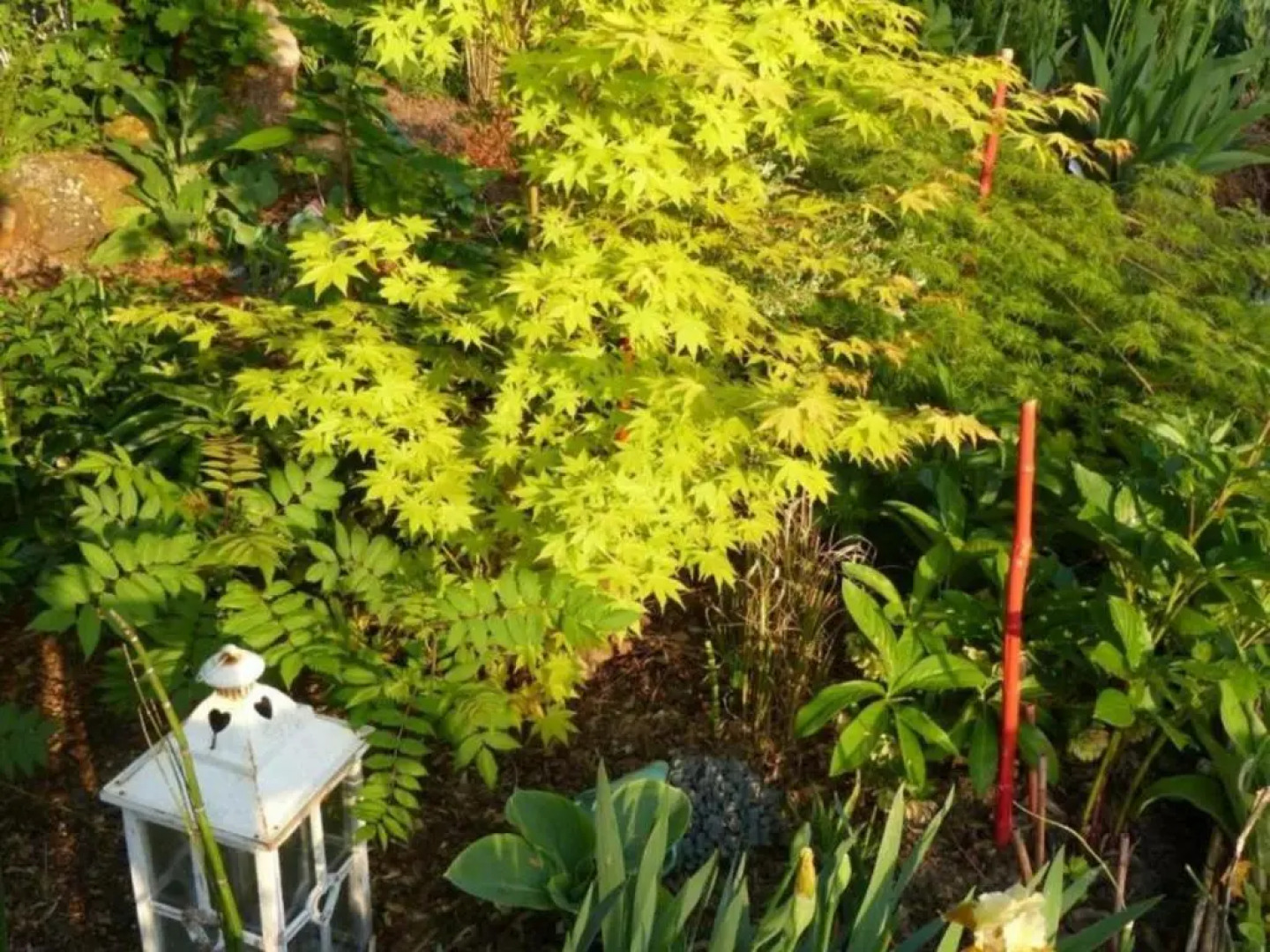 Gîte Sainte-Opportune, 3 pièces, 4 personnes - FR-1-497-35