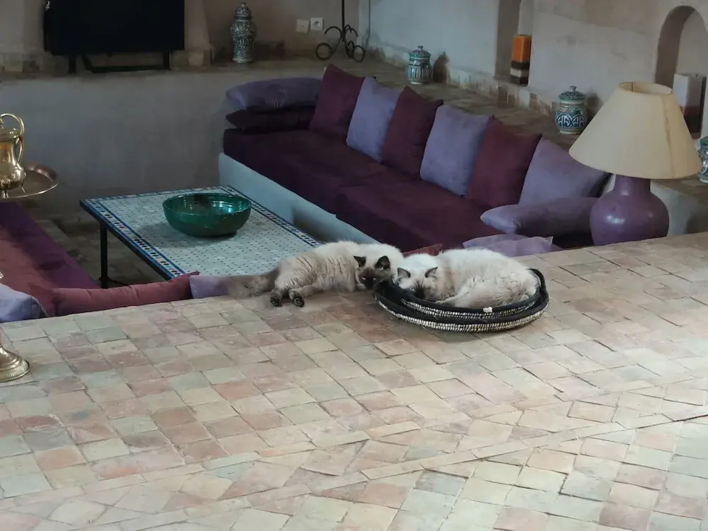 Riad Jardin des Orangers