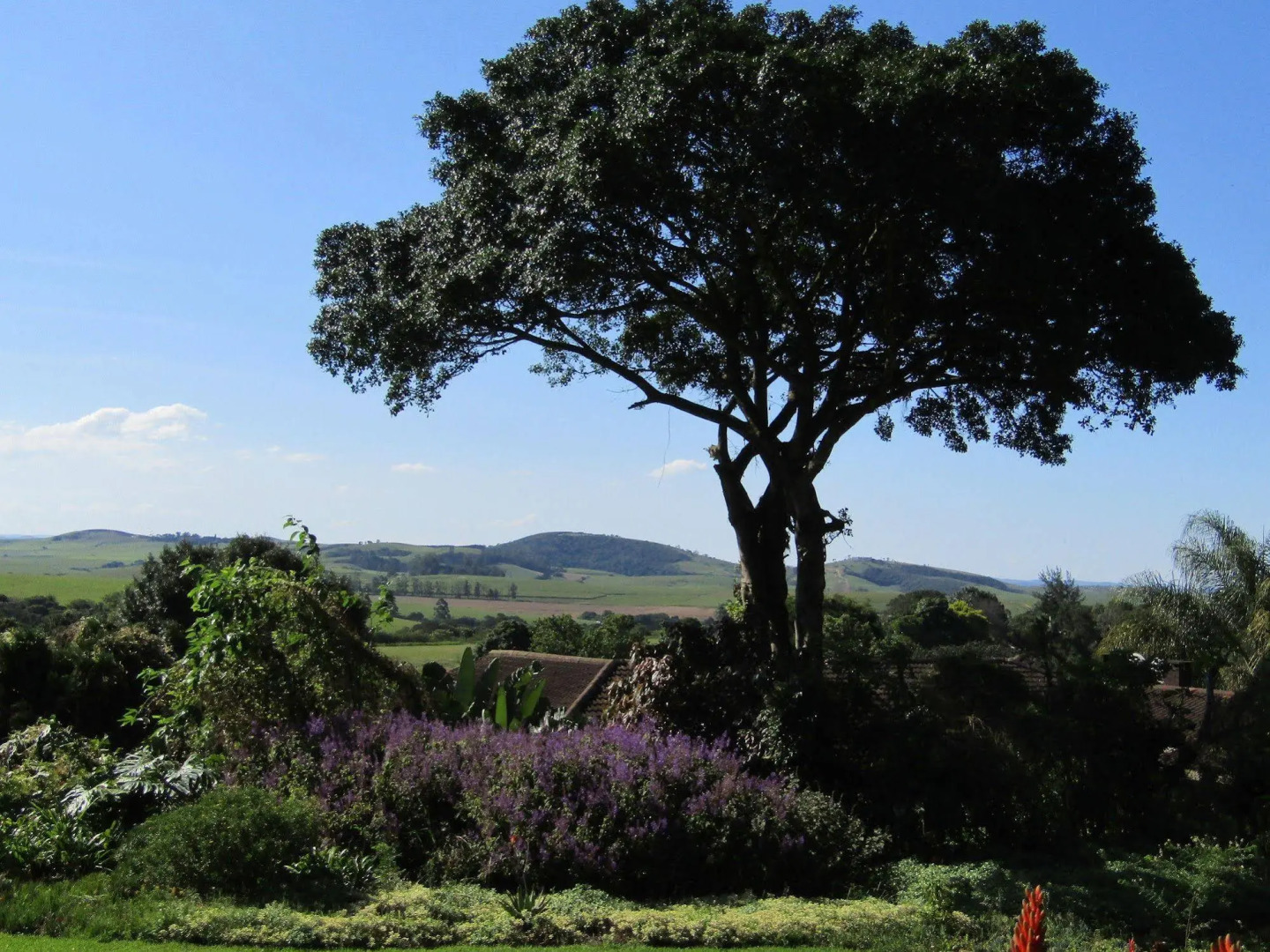 Sugar Hill Manor Guesthouse