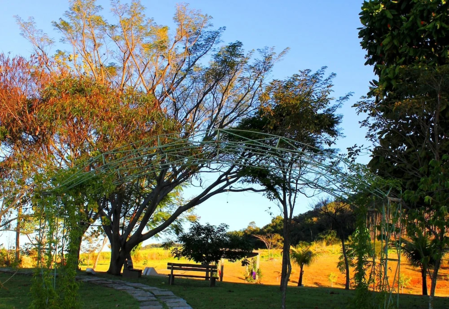 Frangipani Hotel Boutique