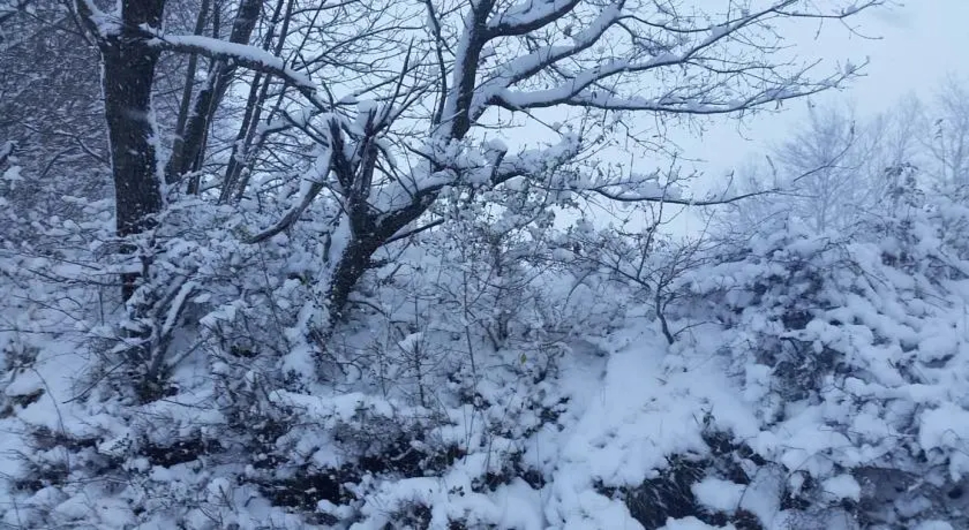 Il Palazzetto dei Briganti