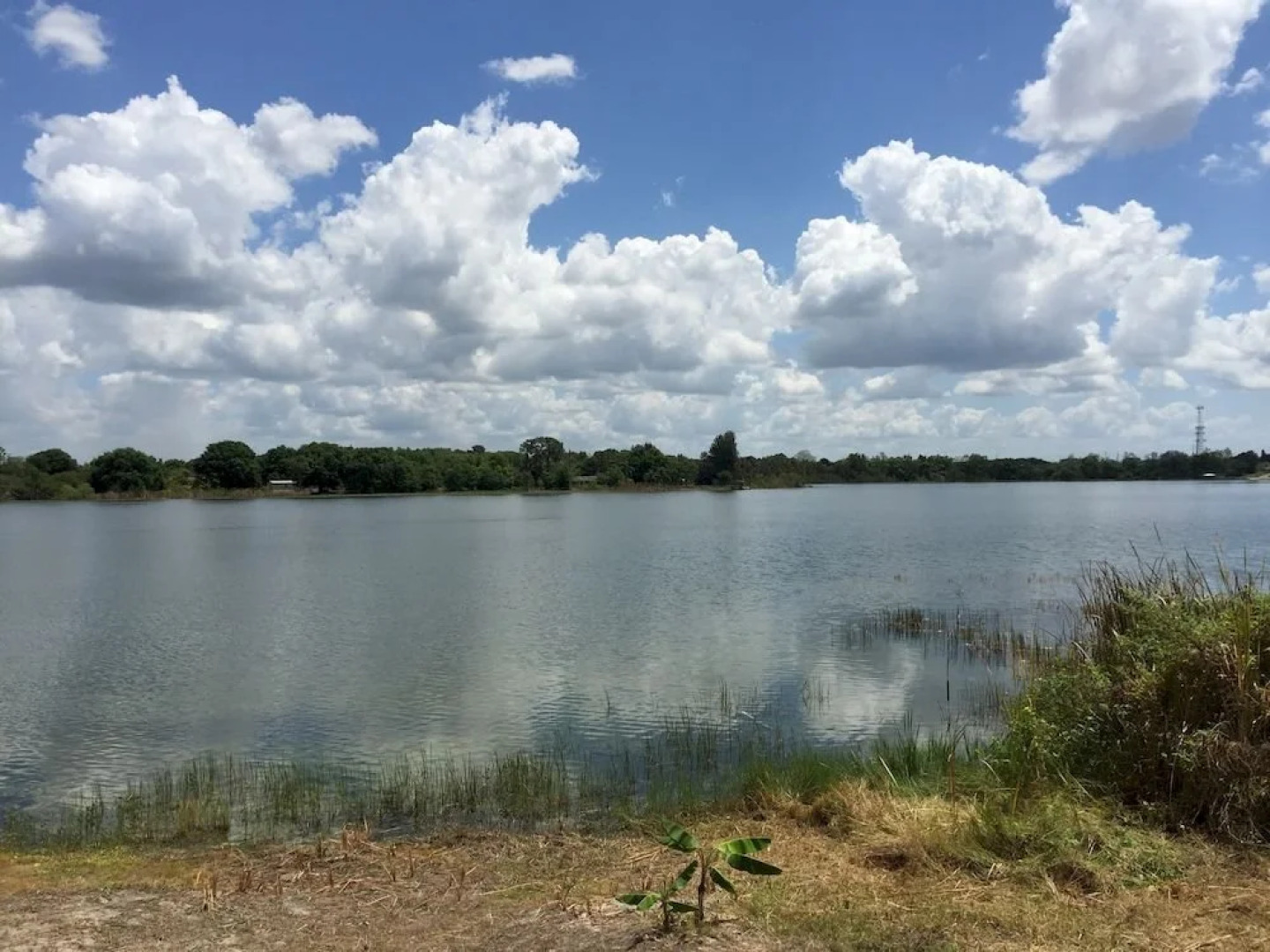 Hunnewell's Cottages