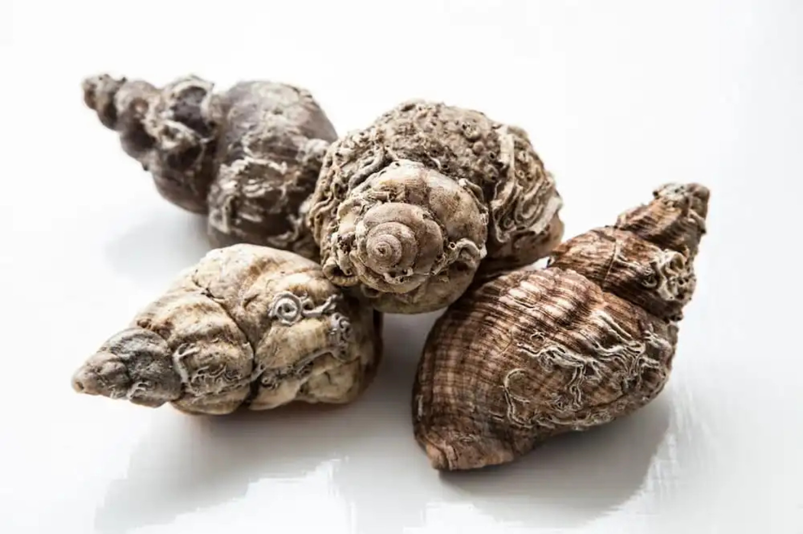 Auld Leigh-Lann Apartments